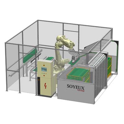 Cellule d'emboxage, déboxage et transfert multi-formats automatique robotisée